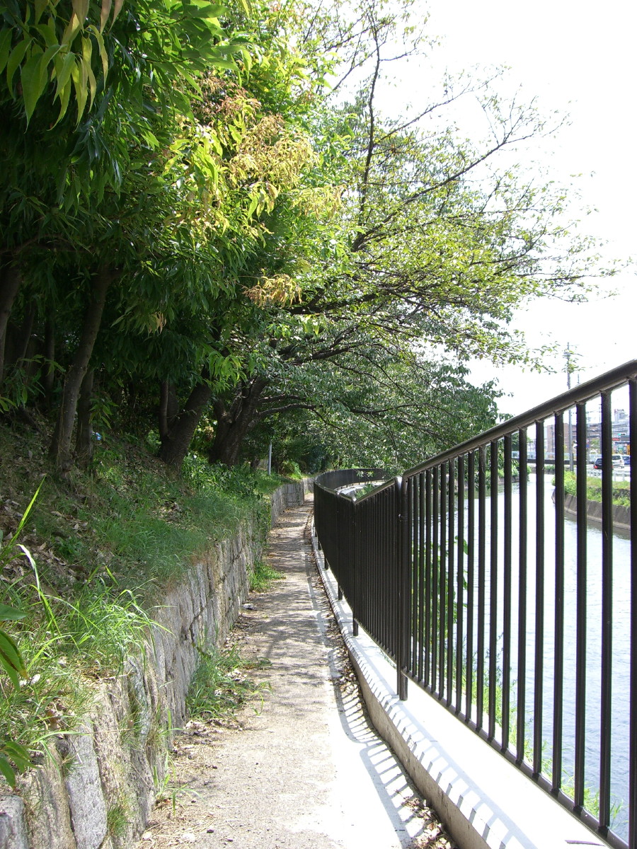 琵琶湖疏水遊歩道